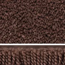 Textured Plush carpet type