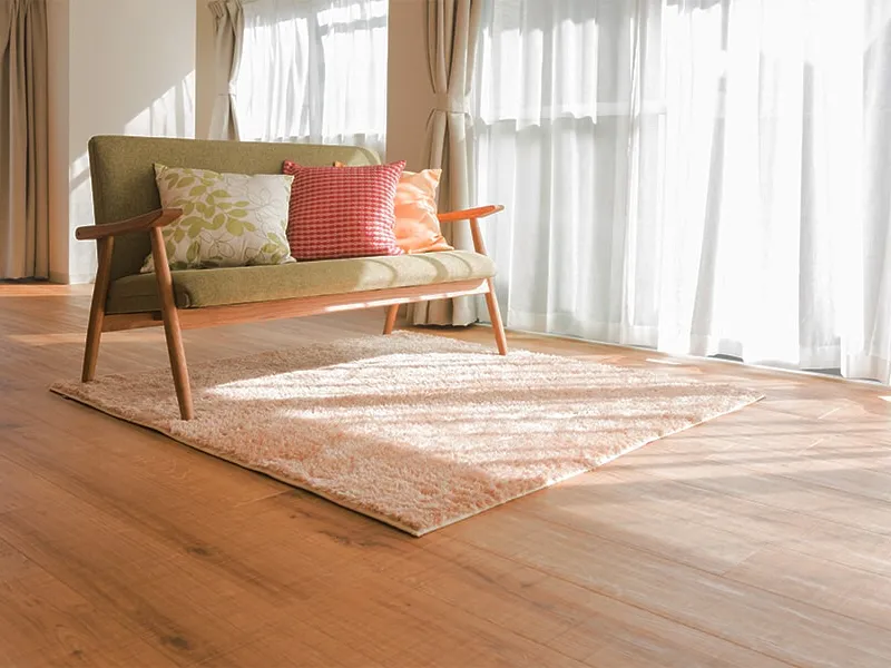 area rugs in Jackson MI
