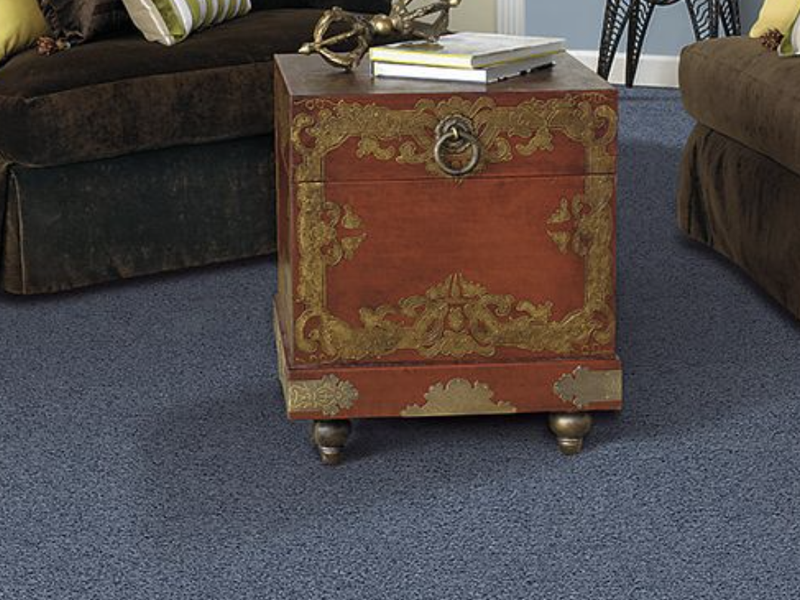 Choosing a carpet color from Mechanic St Jackson, MI 49201