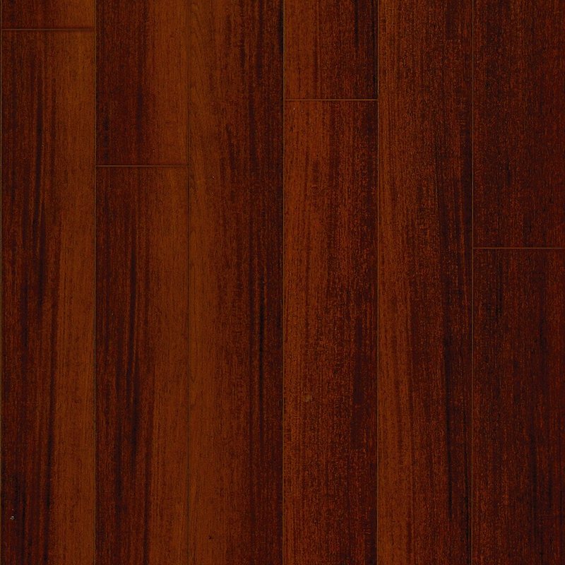 Contact us to learn more