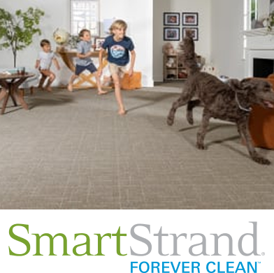Smart Strand in Battle Creek, MI