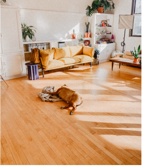 Laminate Flooring in Jackson, MI from Christoff and Sons Floorcovering